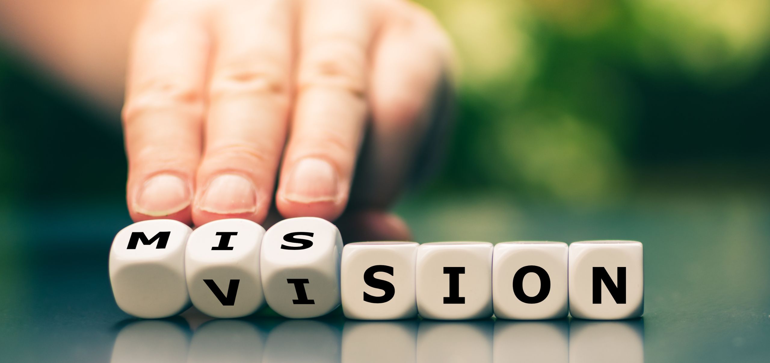 Vision & Mision